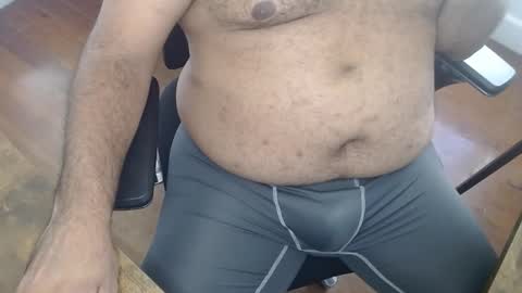 gato27cam live stream