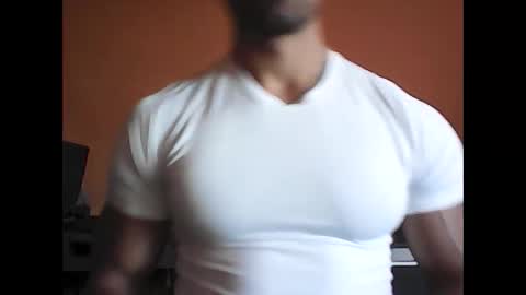 gecko946915 live stream