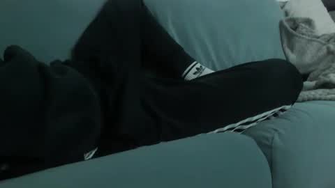 gentlevelvet live stream