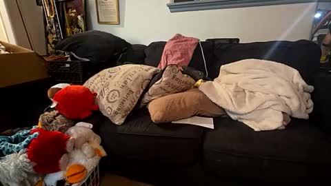 gg254968 live stream