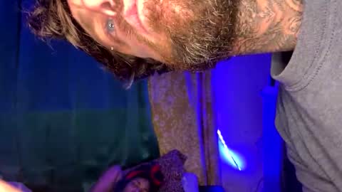 giaferrari live stream