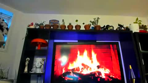 girlnamedcheese stream preview