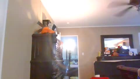 gobey33 stream preview