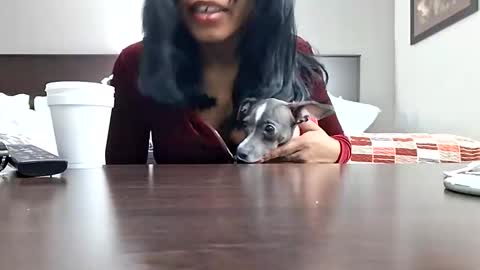 goddessxxamina stream preview