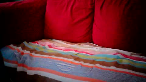 gooner6669 stream preview