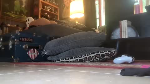 gothicfeetfantasies stream preview