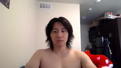 gympigeon live stream