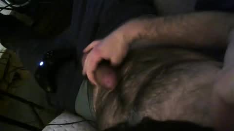 hairyartnerd stream preview