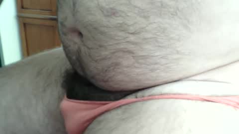 hairybeary1 live stream