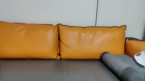 hairycol66 live stream