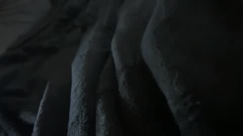 hairyholehrero stream preview