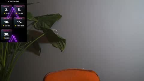 hairyrobxxx live stream