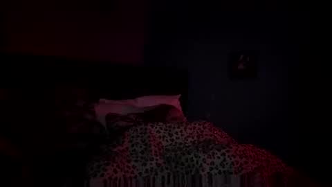 hautim stream preview