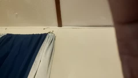 havefunwithus444 live stream