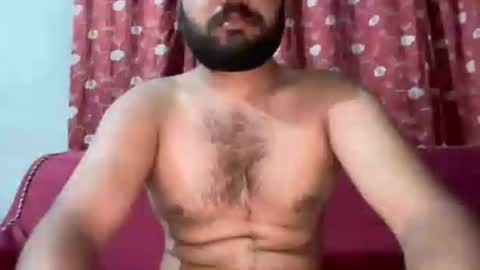 haybigcock live stream
