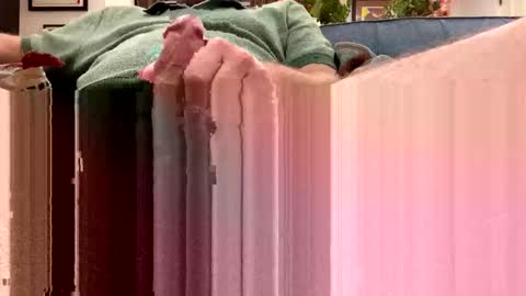 heartofadog604 stream preview