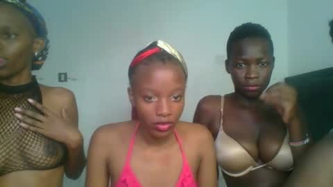 heilybunny stream preview