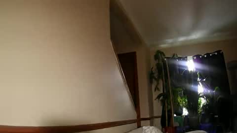 hellobyehey live stream