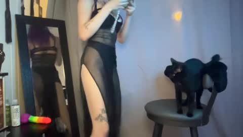 hellok1tty666 stream preview