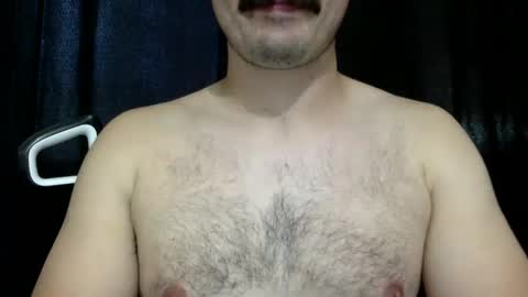 here4you2626 live stream