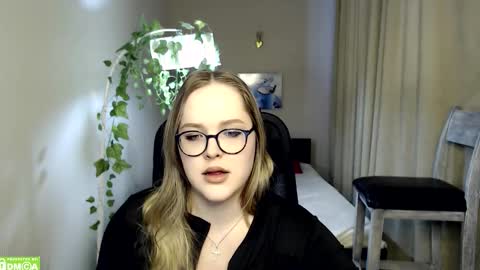 hi_haos stream preview