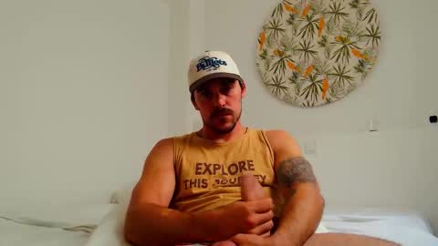 highnightz stream preview