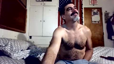 hoglegg99384194 stream preview