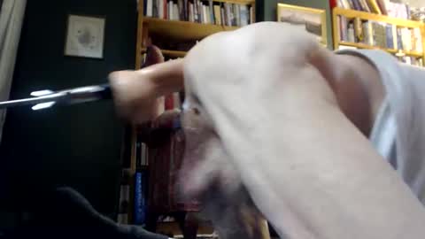 hole2fuk stream preview