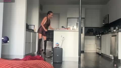 honeydewhigh live stream