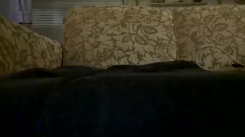 hot2nite22 live stream