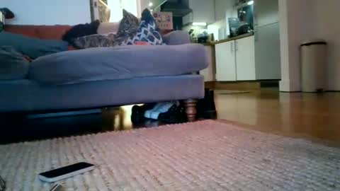 hot_couple_87 live stream