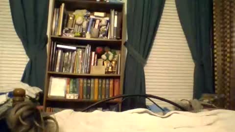 hot_lust122 stream preview