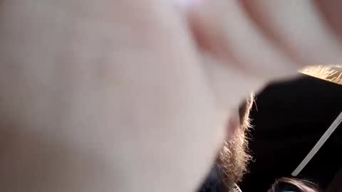 hotassroom live stream