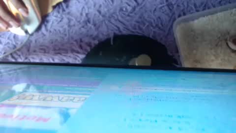 hotmorena_finger live stream