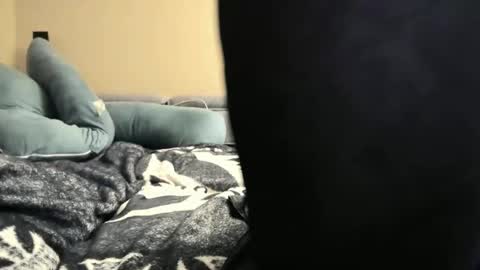 houdicky2 stream preview