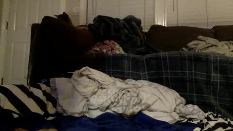 hrnyboyy23 stream preview