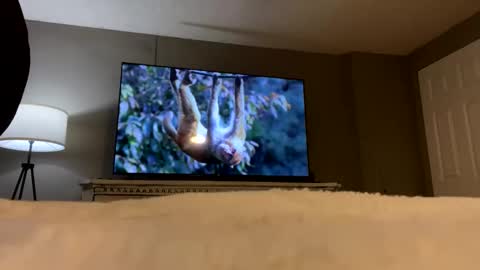 hubbyndirtywifey stream preview