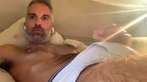 italiantoyboy84 stream preview