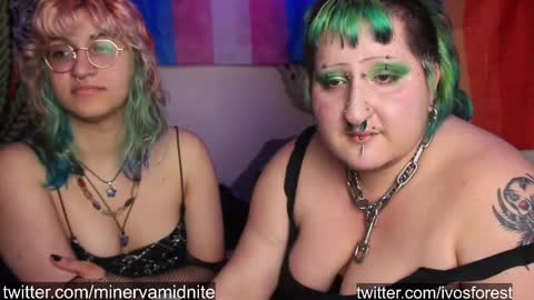 ivylustful live stream