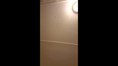 jacobrussell4201985 live stream