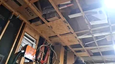 jakethesnake8886999 live stream