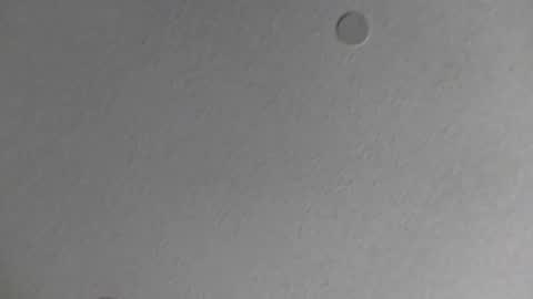 jalabrandass live stream