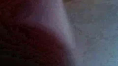 jawssharkparty live stream