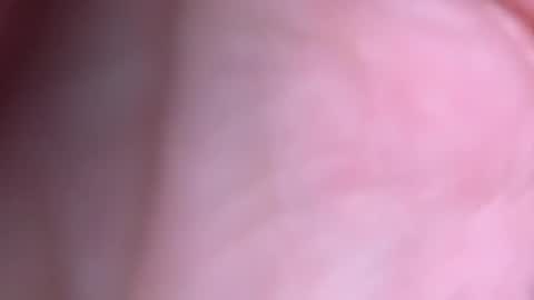 jayson66666666 stream preview