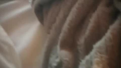 jaz_y_benja live stream