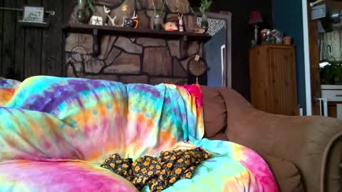 jazzmcjames live stream