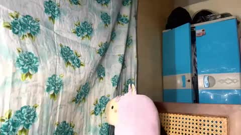 jenhiggens stream preview