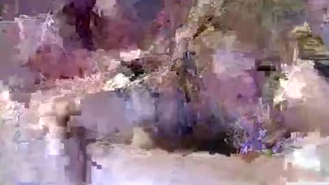 jessicaelaineseals live stream