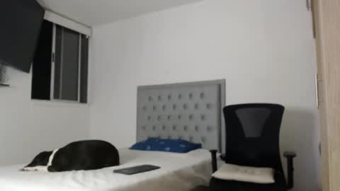 jimmy_king1 stream preview