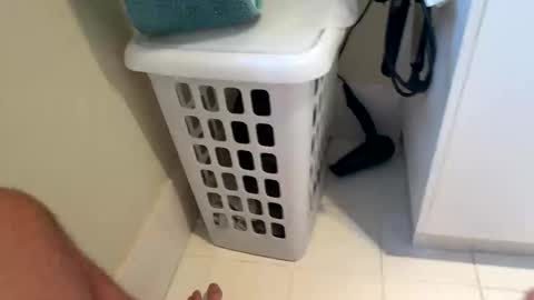 joebrick19 stream preview